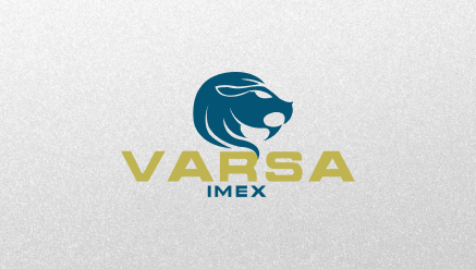 Создание сайта для поставщика немецкого оборудования «Varsa IMEX»