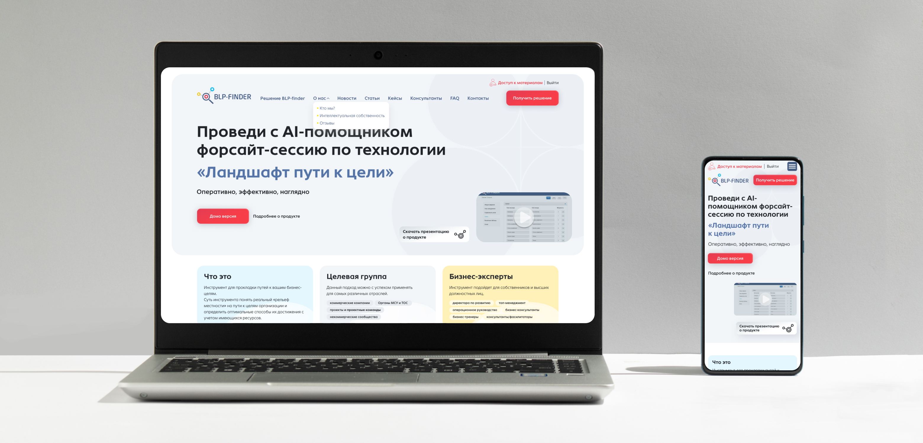 Разработка комплексного SaaS-инструмента управления проектами для BLP finder