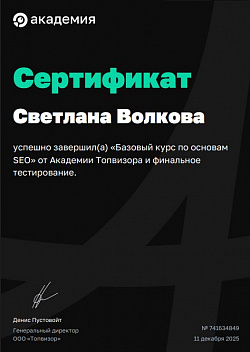 Волкова Светлана _Базовый Курс seo_Топ Визор