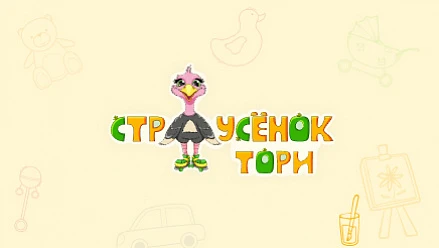 Разработка интернет-магазина игрушек "Страусёнок Тори"